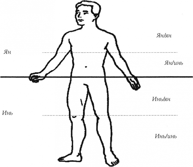 Иллюстрация к книге — О чем говорит боль [i_024.jpg]