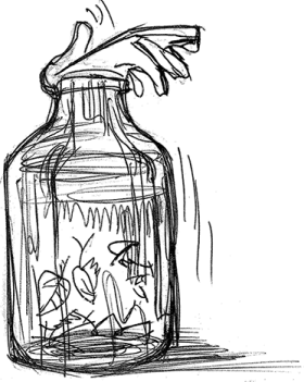 Иллюстрация к книге — Взять Чумазого! [i_003.jpg]