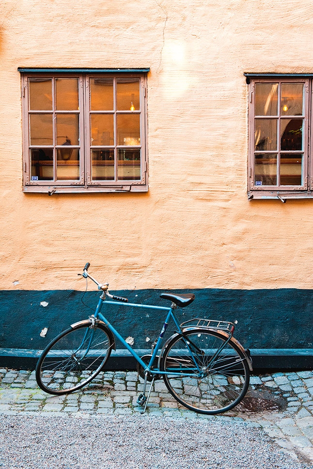 Иллюстрация к книге — Lagom. Секрет шведского благополучия [i_008.jpg]