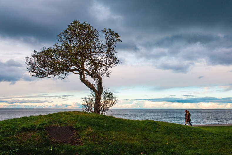 Иллюстрация к книге — Lagom. Секрет шведского благополучия [i_012.jpg]