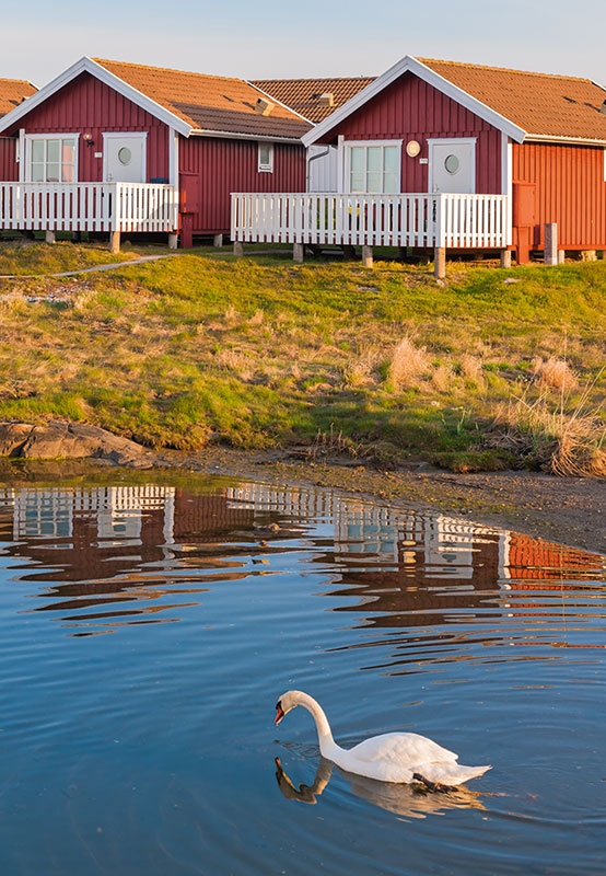 Иллюстрация к книге — Lagom. Секрет шведского благополучия [i_055.jpg]