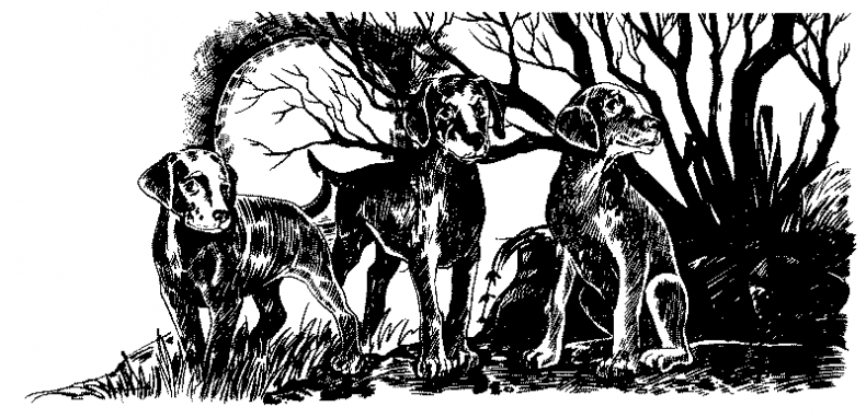 Иллюстрация к книге — Красная луна [i_003.jpg]