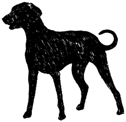 Иллюстрация к книге — Красная луна [i_004.jpg]