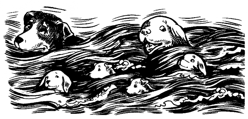 Иллюстрация к книге — Красная луна [i_008.jpg]