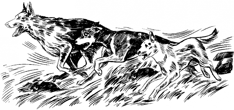 Иллюстрация к книге — Красная луна [i_009.jpg]