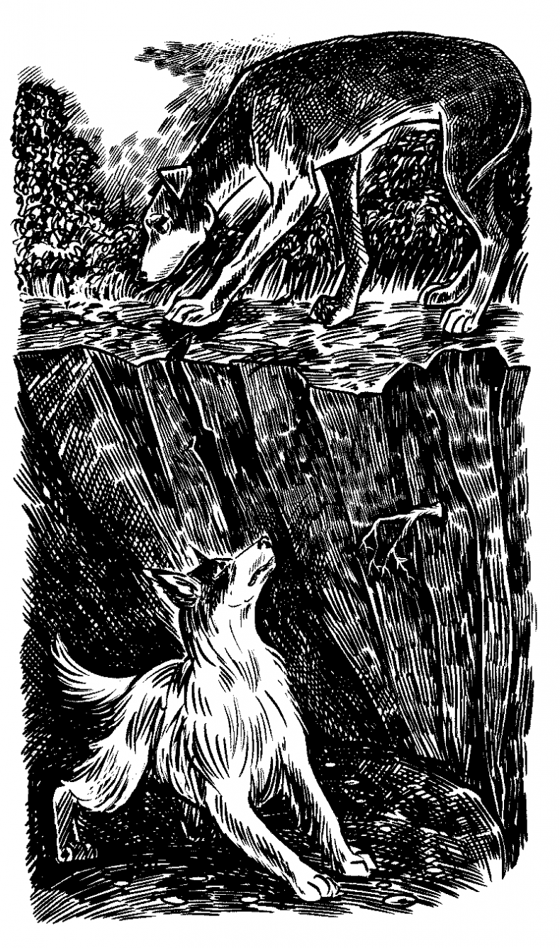 Иллюстрация к книге — Красная луна [i_010.jpg]