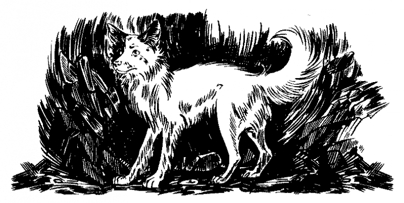 Иллюстрация к книге — Красная луна [i_011.jpg]