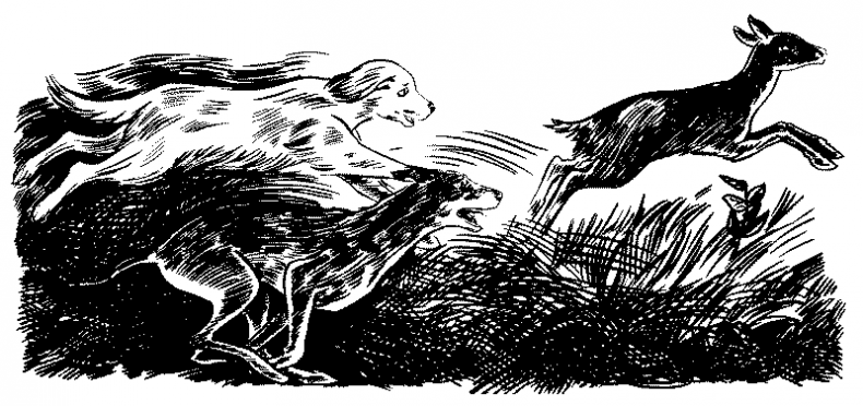 Иллюстрация к книге — Красная луна [i_017.jpg]