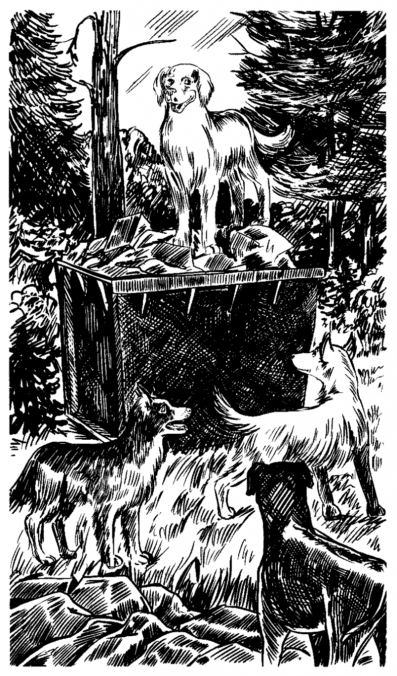 Иллюстрация к книге — Красная луна [i_019.jpg]