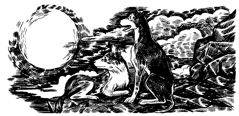 Иллюстрация к книге — Красная луна [i_022.jpg]