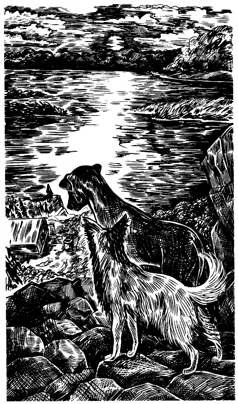 Иллюстрация к книге — Красная луна [i_023.jpg]