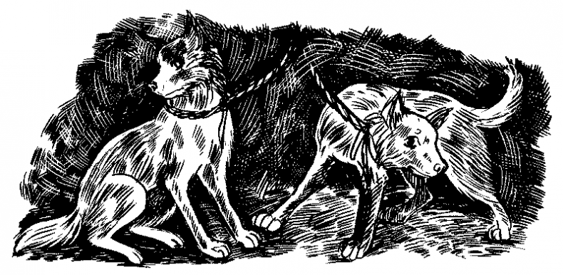 Иллюстрация к книге — Красная луна [i_024.jpg]