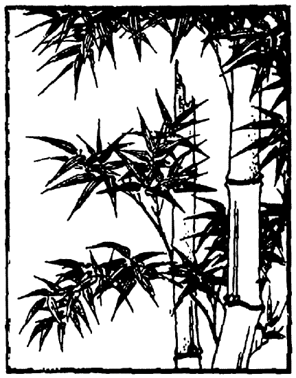 Иллюстрация к книге — Книга японских символов. Книга японских обыкновений [i_016.jpg]