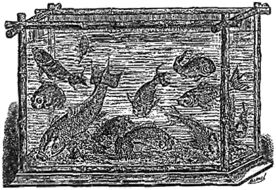 Иллюстрация к книге — Книга японских символов. Книга японских обыкновений [i_035.jpg]