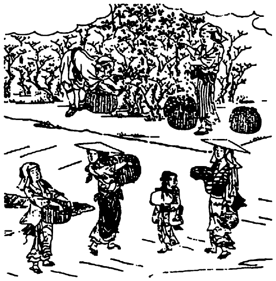 Иллюстрация к книге — Книга японских символов. Книга японских обыкновений [i_051.jpg]