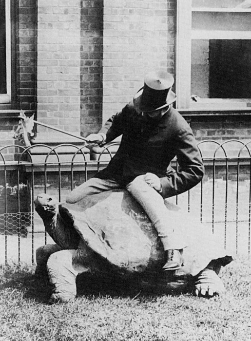 Иллюстрация к книге — Влиятельные семьи Англии. Как наживали состояния Коэны, Ротшильды, Голдсмиды, Монтефиоре, Сэмюэлы и Сассуны [i_014.jpg]