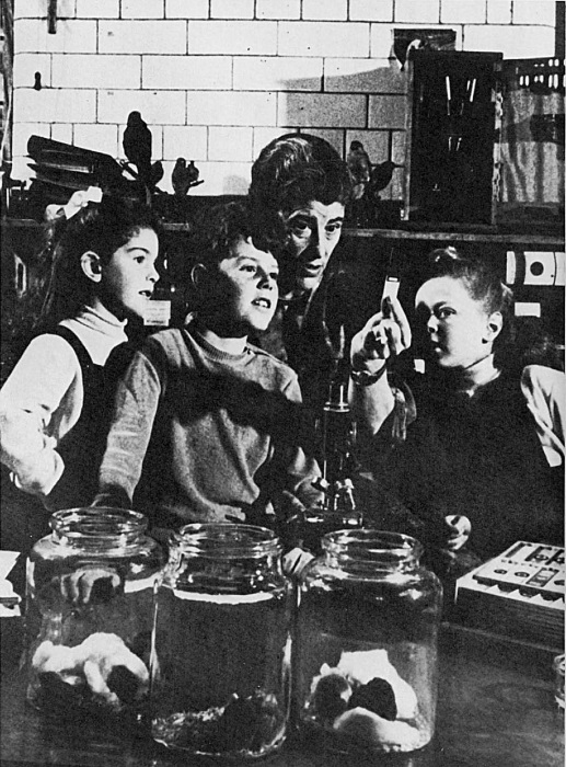 Иллюстрация к книге — Влиятельные семьи Англии. Как наживали состояния Коэны, Ротшильды, Голдсмиды, Монтефиоре, Сэмюэлы и Сассуны [i_035.jpg]