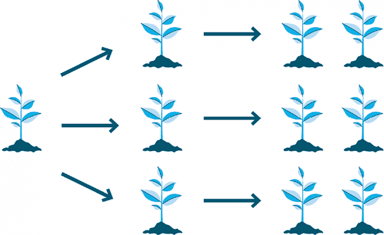 Иллюстрация к книге — Нанопривычки. Маленькие шаги, которые приведут к большим переменам [i_059.jpg]