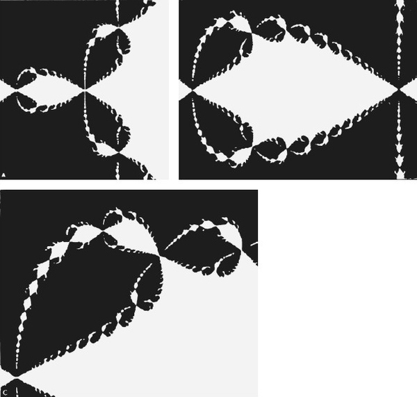 Иллюстрация к книге — Хаос. Создание новой науки [i_029.jpg]