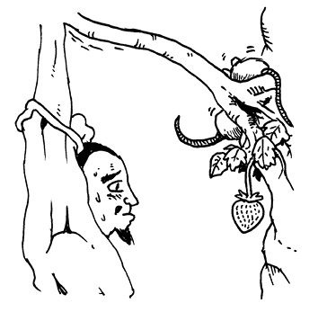 Иллюстрация к книге — Радость изнутри [i_074.jpg]