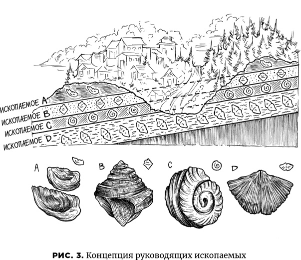 Иллюстрация к книге — Осознание времени. Прошлое и будущее Земли глазами геолога [i_005.jpg]