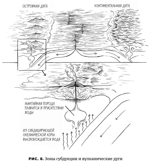 Иллюстрация к книге — Осознание времени. Прошлое и будущее Земли глазами геолога [i_012.jpg]