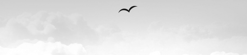 Иллюстрация к книге — Что скрывает прилив [i_004.jpg]