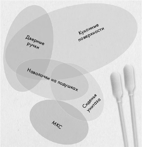 Иллюстрация к книге — Не один дома. Естественная история нашего жилища от бактерий до многоножек, тараканов и пауков [i_006.jpg]
