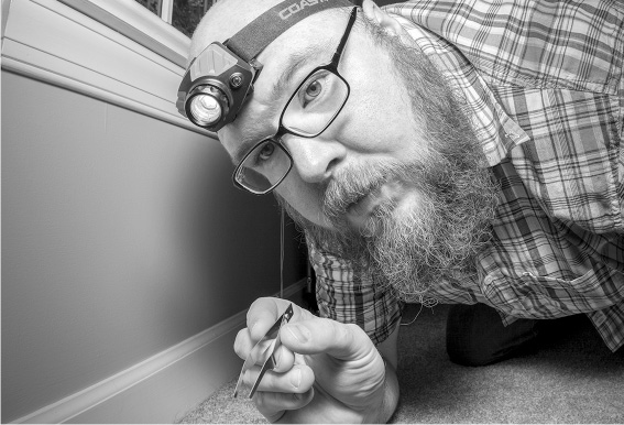 Иллюстрация к книге — Не один дома. Естественная история нашего жилища от бактерий до многоножек, тараканов и пауков [i_015.jpg]