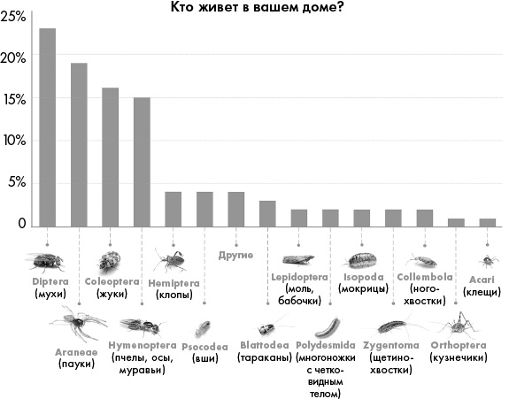 Иллюстрация к книге — Не один дома. Естественная история нашего жилища от бактерий до многоножек, тараканов и пауков [i_016.jpg]