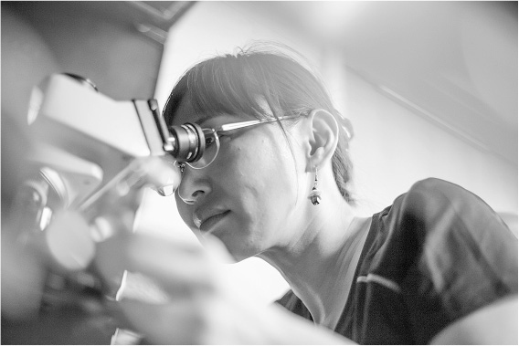 Иллюстрация к книге — Не один дома. Естественная история нашего жилища от бактерий до многоножек, тараканов и пауков [i_021.jpg]