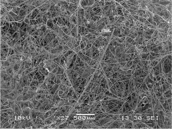 Иллюстрация к книге — Не один дома. Естественная история нашего жилища от бактерий до многоножек, тараканов и пауков [i_026.jpg]