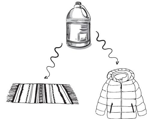 Иллюстрация к книге — ЭкоДом. Уборка без химии, порядок без труда. ЭКОномно ЭКОлогично [i_053.jpg]