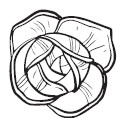 Иллюстрация к книге — ЭкоДом. Уборка без химии, порядок без труда. ЭКОномно ЭКОлогично [i_095.jpg]