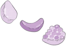 Иллюстрация к книге — Загадка Тигриного острова [i_027.jpg]