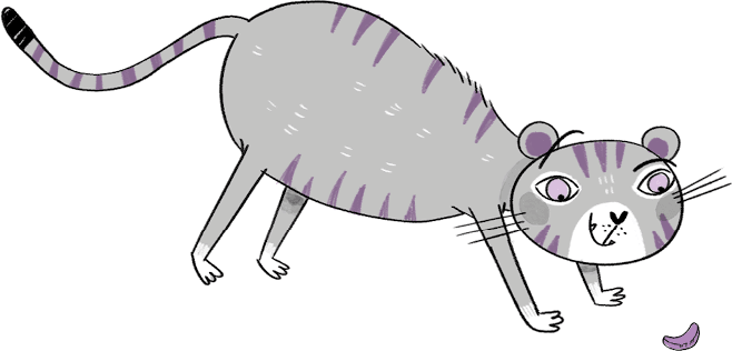 Иллюстрация к книге — Загадка Тигриного острова [i_095.jpg]