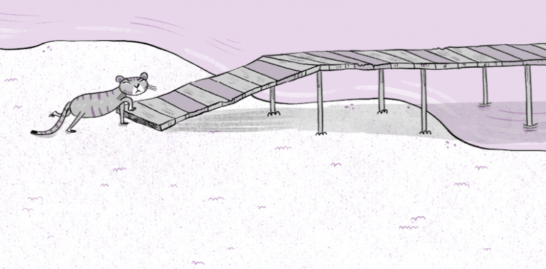 Иллюстрация к книге — Загадка Тигриного острова [i_104.jpg]