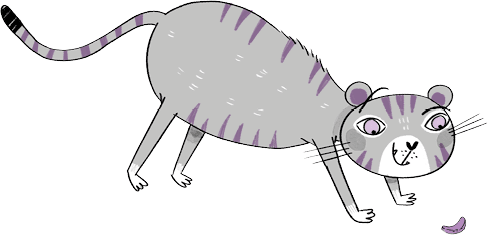 Иллюстрация к книге — Загадка Тигриного острова [i_122.jpg]