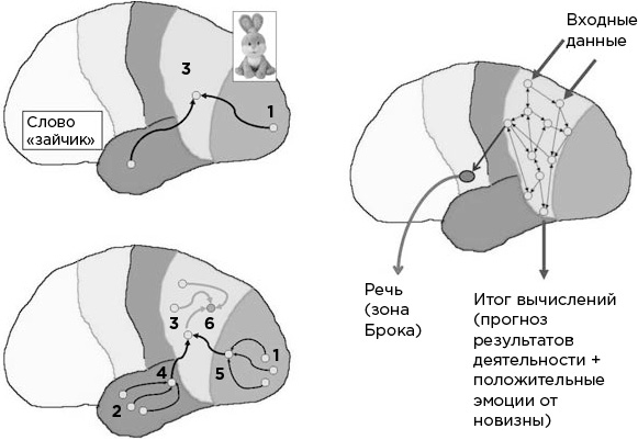 Иллюстрация к книге — Мозг и его потребности. От питания до признания [i_009.jpg]