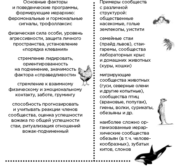 Иллюстрация к книге — Мозг и его потребности. От питания до признания [i_025.jpg]