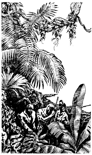 Иллюстрация к книге — Кораблекрушения [i_002.jpg]