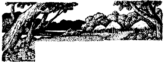 Иллюстрация к книге — Кораблекрушения [i_010.jpg]