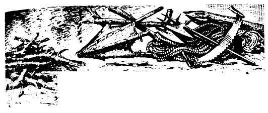 Иллюстрация к книге — Кораблекрушения [i_012.jpg]