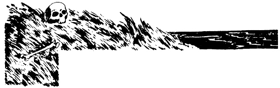 Иллюстрация к книге — Кораблекрушения [i_018.jpg]