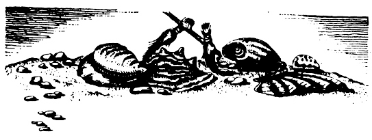 Иллюстрация к книге — Кораблекрушения [i_020.jpg]