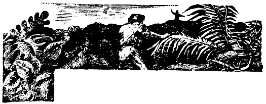 Иллюстрация к книге — Кораблекрушения [i_021.jpg]