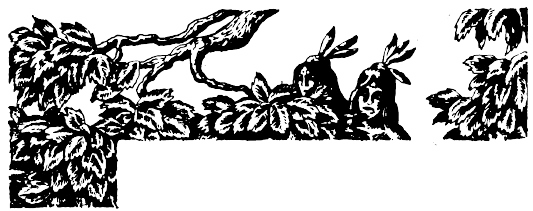 Иллюстрация к книге — Кораблекрушения [i_027.jpg]