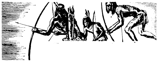 Иллюстрация к книге — Кораблекрушения [i_029.jpg]