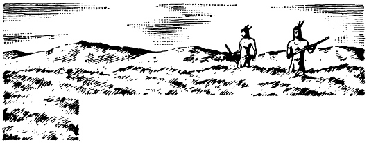 Иллюстрация к книге — Кораблекрушения [i_033.jpg]