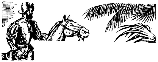 Иллюстрация к книге — Кораблекрушения [i_037.jpg]